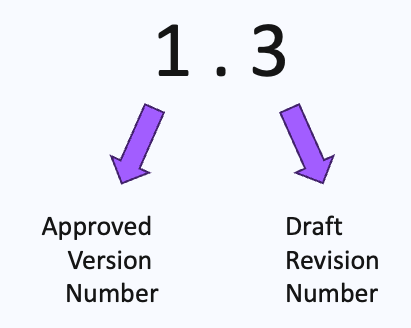Version Number Format
